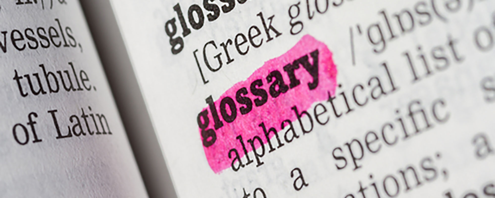 glossary