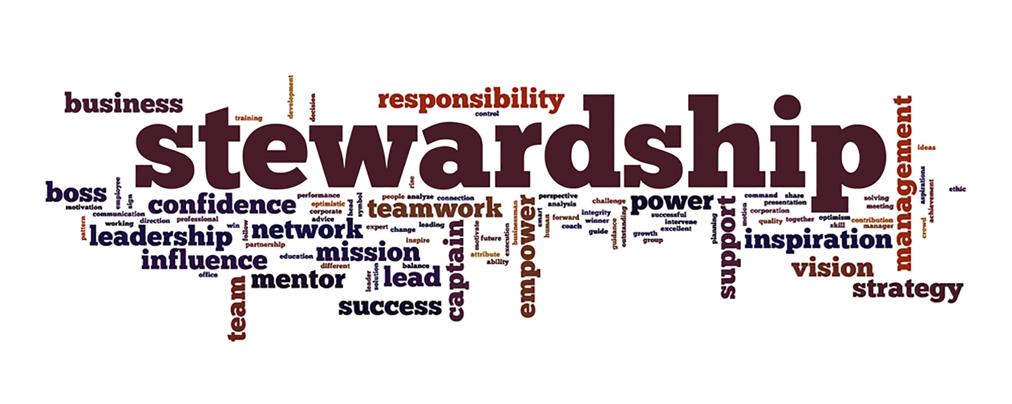 Stewardship word cloud